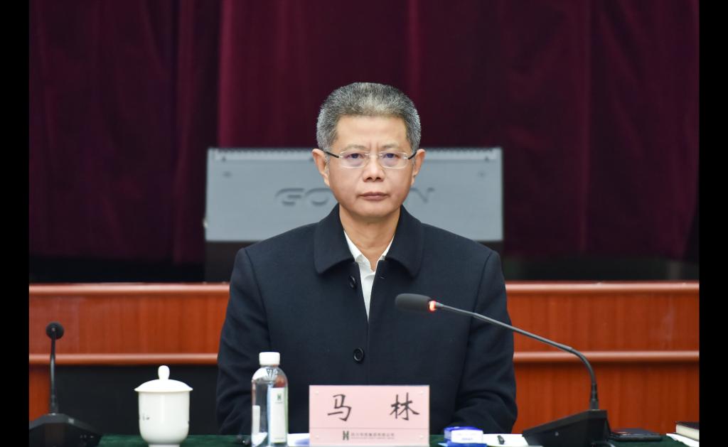 马林主持会议并讲话马林强调,集团上下在推行外部董事制度中要系统