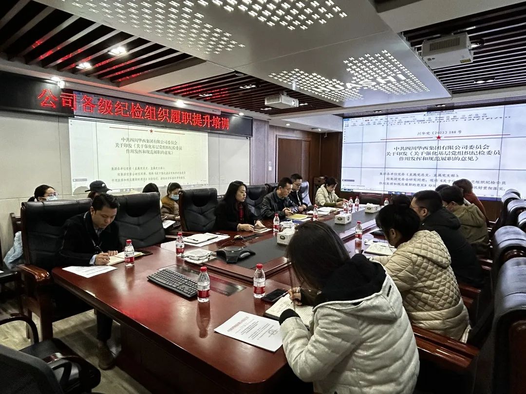 公司纪委开展强化基层党组织纪检委员作用发挥和规范履职培训