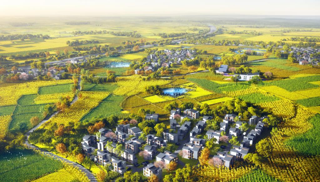 助力乡村振兴！龙泉驿区这一民生项目顺利通过成都市建设工程安全文明工地验收